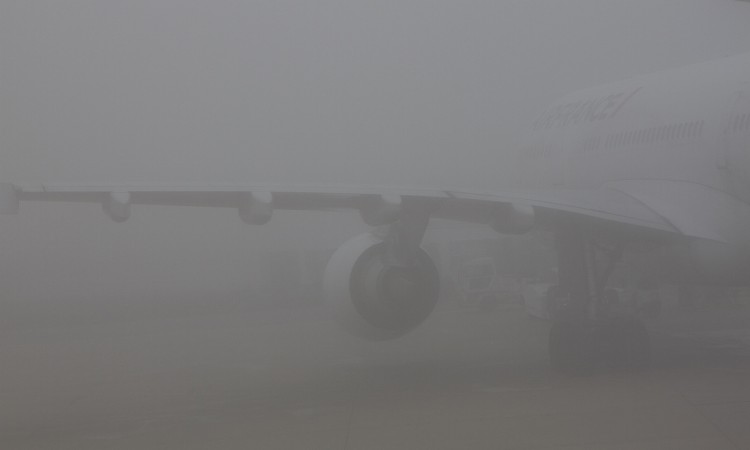 Jour de brouillard 2011 - Muriel Marchais